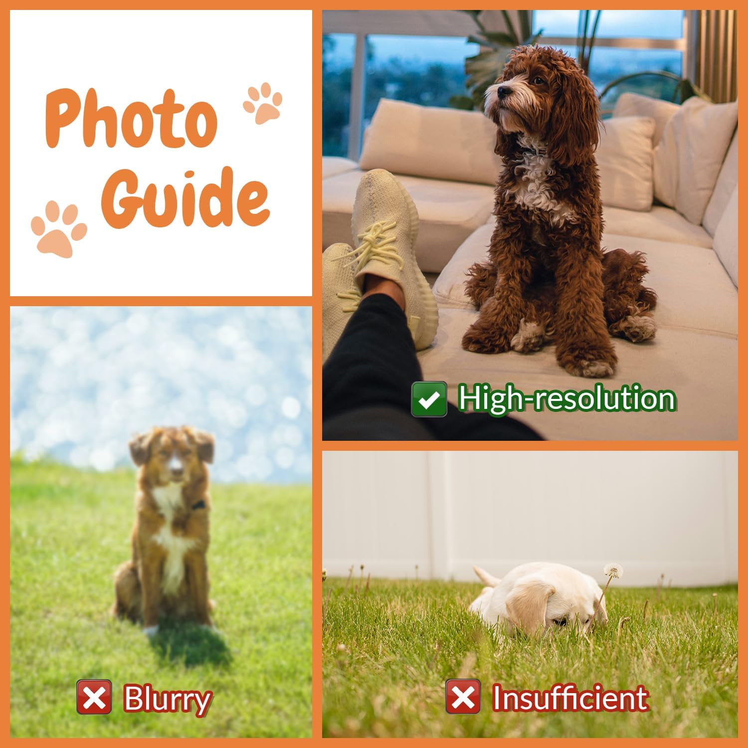 Customised Photo Pet Home Pill - Home Textiles Images บทวิจารณ์และราคา