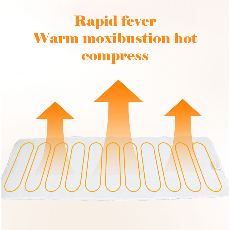 Extra Large Electric Heating P - Electric Blanket Heated บทวิจารณ์และราคา